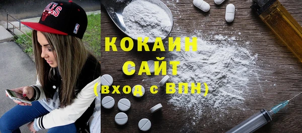 шишки Алексин
