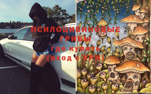 а пвп мука Алзамай