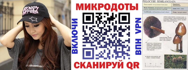 Псилоцибиновые грибы Magic Shrooms  Богучар 